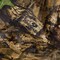 Vanish 3D Leafy Omnitex Blind Making Material, 12' x 56 in., Mossy Oak Break-Up Infinity 25330 - alternate 4